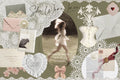 Romantic Archive of Paper & Lace